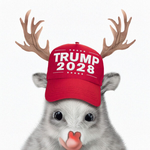 Trump Store Trump 2028 hat