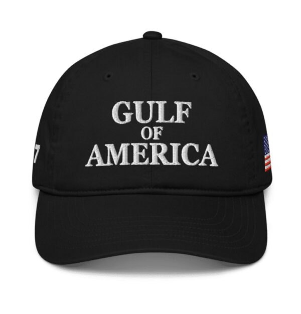 Elon Gulf Of America Organic Baseball Cap